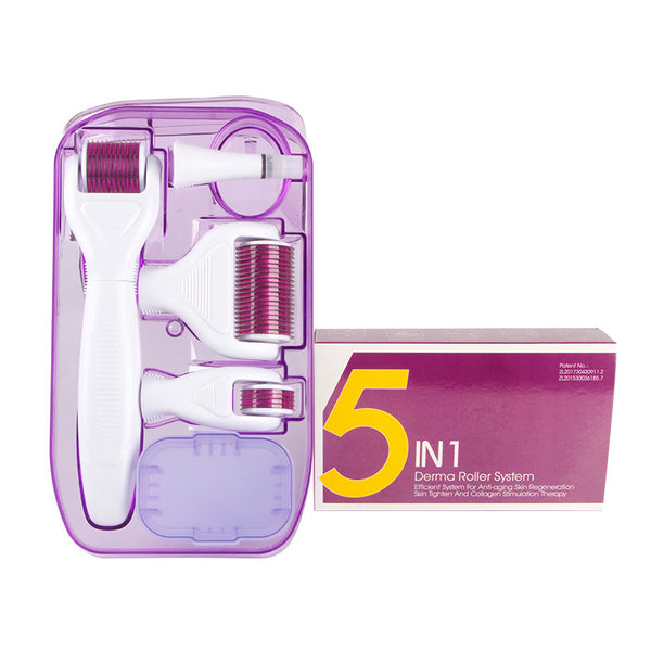 DermaKit™ 6-in-1 Derma Roller Microneedling Set